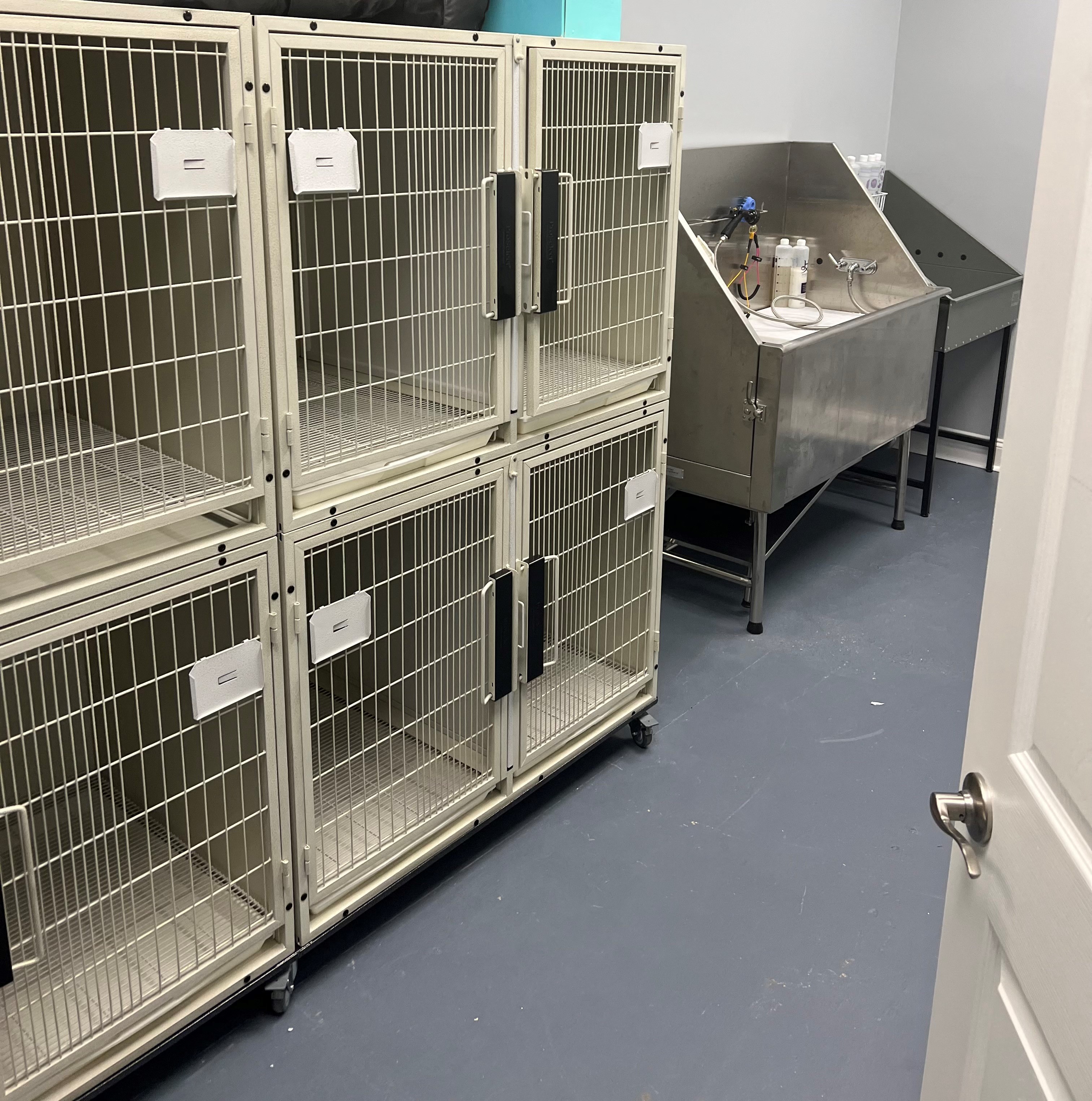 Pet Spa